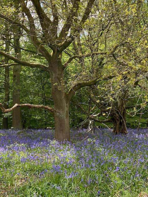 South Cottage - Garden, Views, Parking, Dogs, Cheshire, Walks, Family Adlington Bagian luar foto