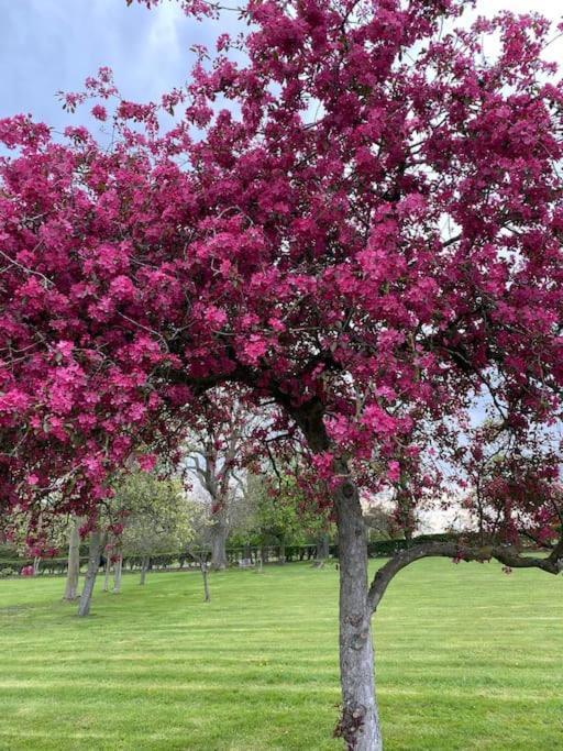 South Cottage - Garden, Views, Parking, Dogs, Cheshire, Walks, Family Adlington Bagian luar foto