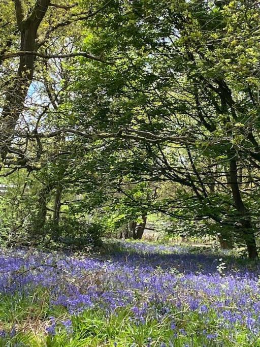South Cottage - Garden, Views, Parking, Dogs, Cheshire, Walks, Family Adlington Bagian luar foto